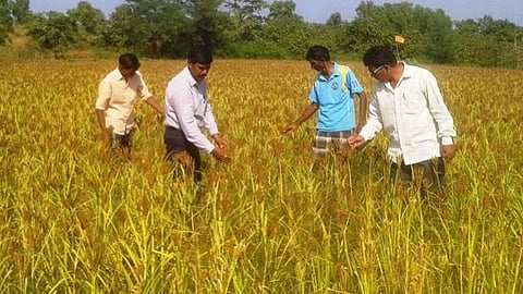 Base Price Purchase Scheme