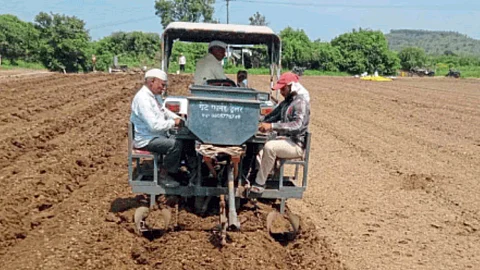 Potato Cultivation