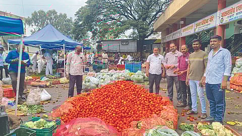 Tomato Market