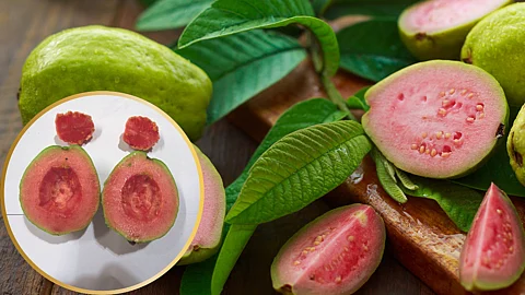 Ratndip Guava Variety