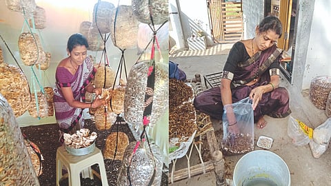 Mushroom Production