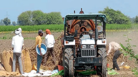 Soybean Machine