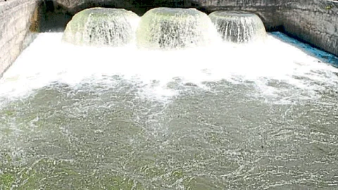 Mhaisal Irrigation