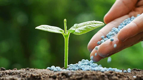 Fertilizer