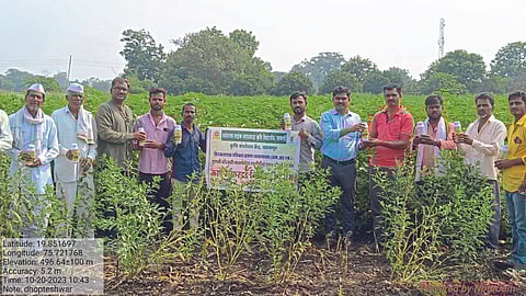 Pesticide Resistance Management