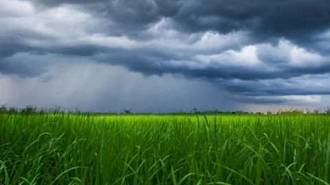 Weather Forecast