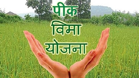 Crop Insurance