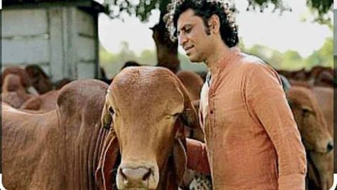 Animal Care