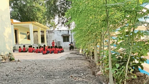 Fruit cultivation