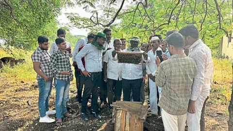 Beekeeping