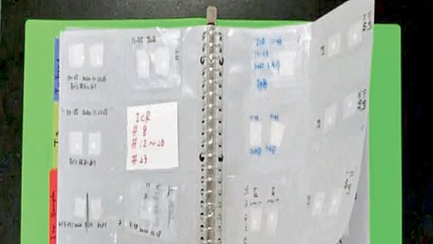 Artificial Insemination