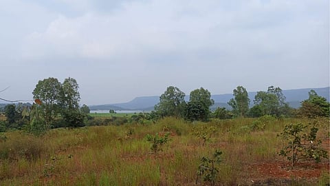 Farmer Land Law
