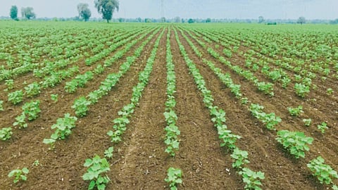 Agriculture Technology