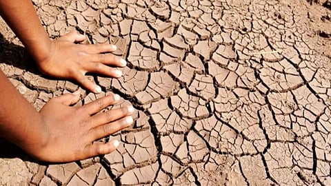 Drought Condition