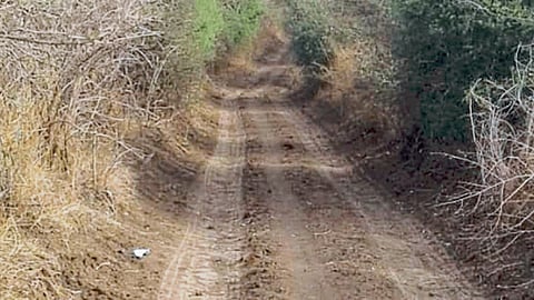 Panand Road