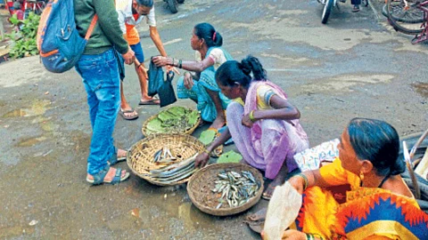Fish Market