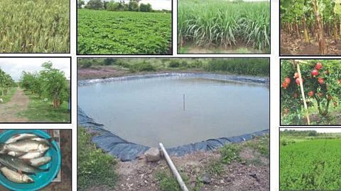 Agriculture Management