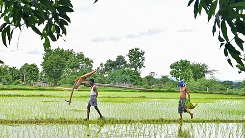 Rayutu Bandhu Yojana