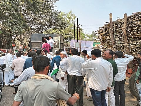 Sugarcane Rate