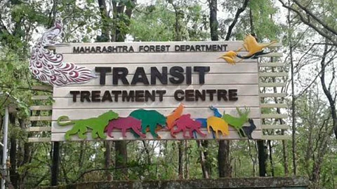 Transit Treatment Center