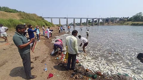 Krishna River