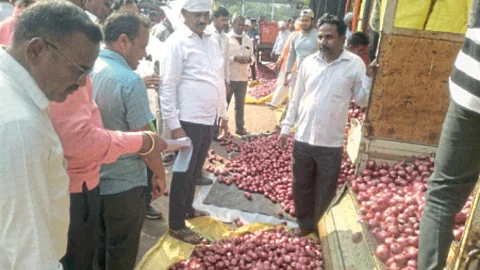 Onion Auction
