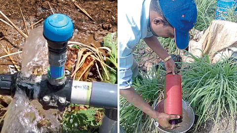 Drip Irrigation