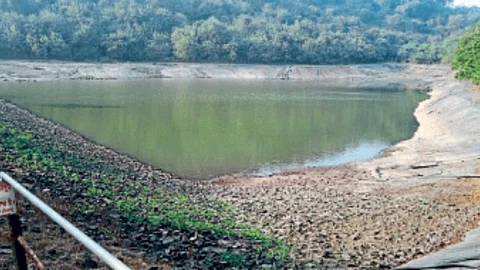 Water Level