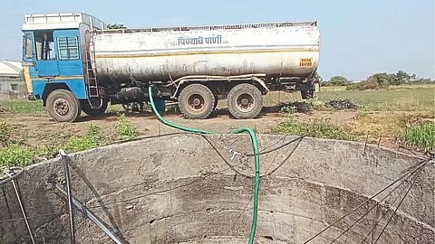 Onion Cultivation