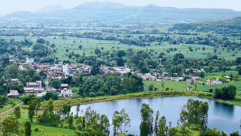 Biodiversity of Satara