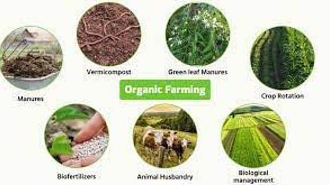 Organic Farming