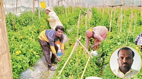 हनमंत तर्फेवाड