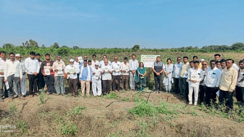 Integrated Management