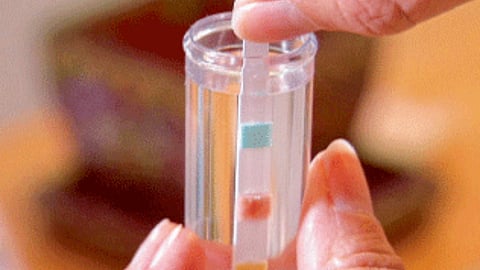 Water Quality Testing