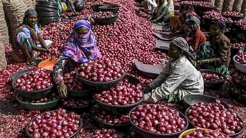 Onion Market