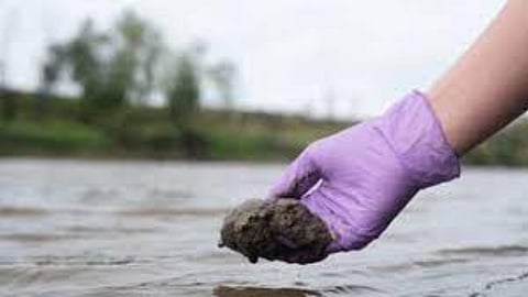 River sludge