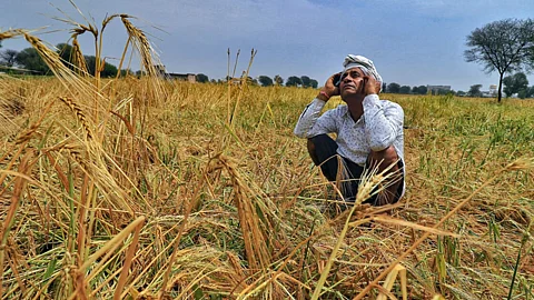 Crop Damage Fund
