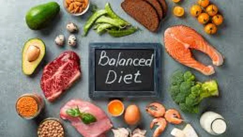 Human Diet