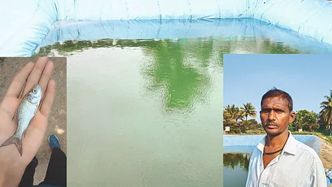 Fish Farming