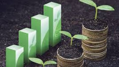 Agriculture Management