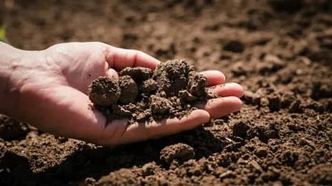 Soil Management