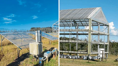 Agriculture Research