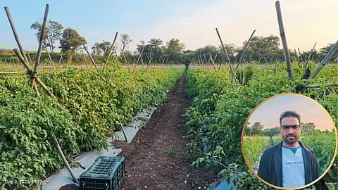 तात्यासाहेब कांबिरे