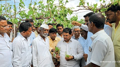 Crop Damage