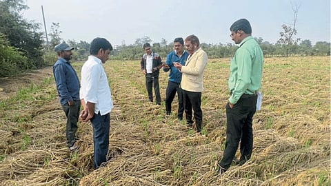 जिल्हा अधीक्षक कृषी अधिकारी रवींद्र मनोहरे