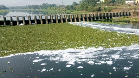 Water Pollution