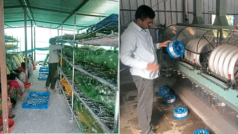 Sericulture Farming Industry