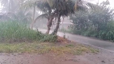 Rain Update Maharashtra