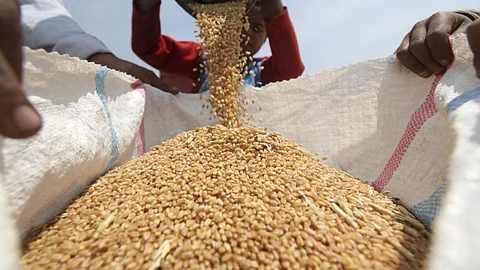 Wheat stocks