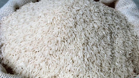 Paddy Procurement